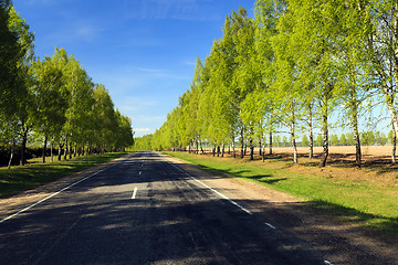 Image showing trees in winter  