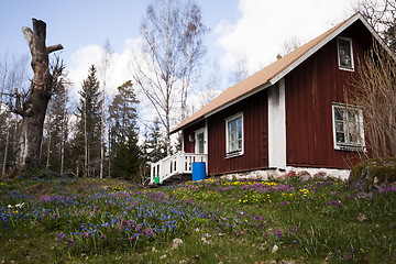 Image showing old house with a spring garden