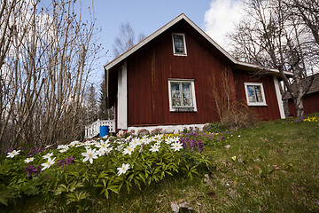 Image showing old house with a spring  garden