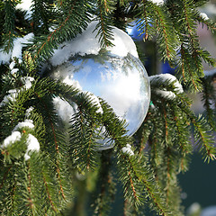 Image showing Christmas decoration