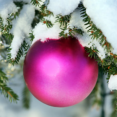 Image showing Christmas decoration