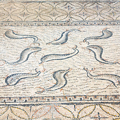 Image showing roof mosaic in the old dolphin