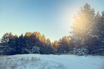 Image showing Winter landscape