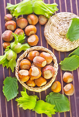 Image showing hazelnuts