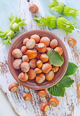 Image showing hazelnuts