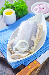 Image showing herring