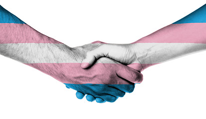 Image showing Man and woman shaking hands