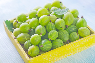 Image showing gooseberry