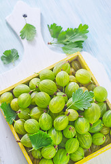 Image showing gooseberry