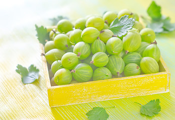 Image showing gooseberry