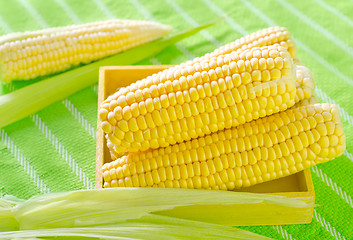 Image showing raw corn