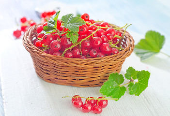 Image showing red currant