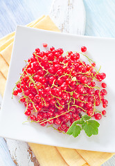 Image showing red currant