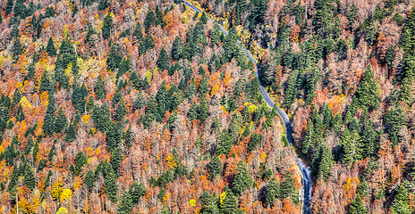 Image showing Scenic Autumn Road