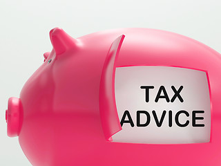 Image showing Tax Advice Piggy Bank Shows Advising About Taxes