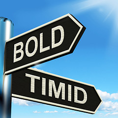 Image showing Bold Timid Signpost Shows Extroverted And Shy