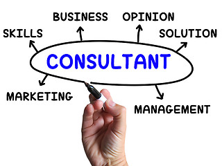 Image showing Consultant Diagram Shows Expert With Opinions And Solutions