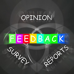 Image showing Feedback Displays Reports and Surveys of Opinions