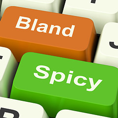 Image showing Bland Spicy Keys Shows Plain Hot Cooking Flavours