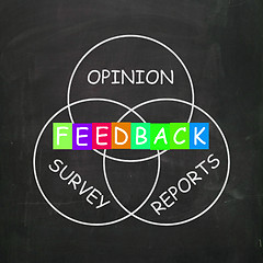 Image showing Feedback Gives Reports and Surveys of Opinions