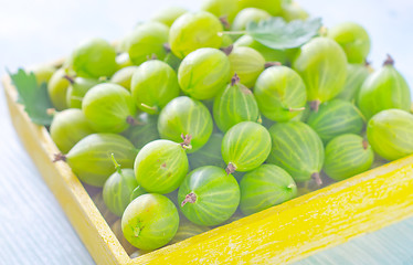 Image showing gooseberry