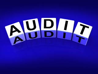 Image showing Audit Blocks Refer to Investigation Examination and Scrutiny