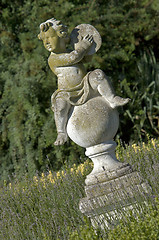 Image showing Classic garden cherub