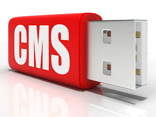 Image showing CMS Pen drive Means Content Management System