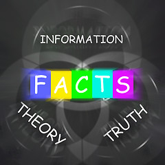 Image showing Words Displays to Information Truth Theory and Fact