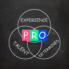 Image showing PRO On Blackboard Means Great Experience And Excellence