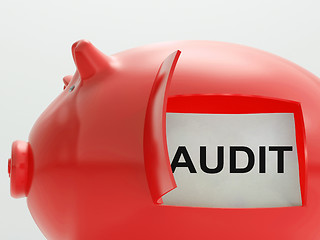 Image showing Audit Piggy Bank Means Inspection And Validation