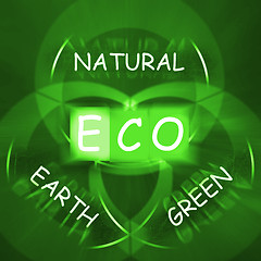 Image showing ECO On Blackboard Displays Environmental Care Or Eco-Friendly Na