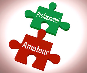 Image showing Professional Amateur Puzzle Shows Expert And Apprentice