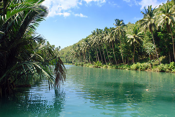 Image showing Tropical Jungle River