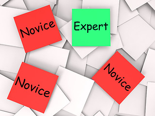 Image showing Expert Novice Post-It Notes Mean Professional Or Learner