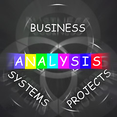 Image showing Analysis Displays Analyzing Business Systems and Projects