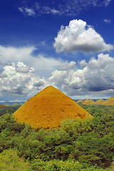 Image showing One Bohol Chocolate Hill