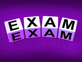 Image showing Exam Blocks Show Examination Review and Assessment