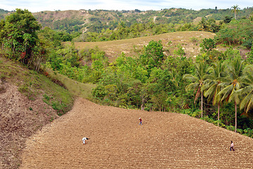 Image showing Asian farmers on mountain field