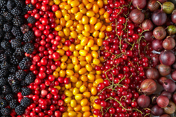 Image showing various kinds of berries