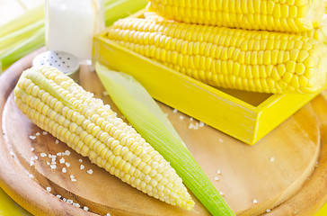 Image showing boiled corn with salt