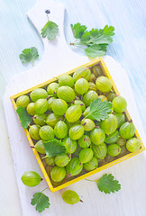 Image showing gooseberry