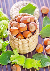 Image showing hazelnuts