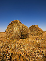 Image showing stack of straw in the field  