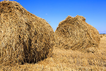 Image showing stack of straw in the field 