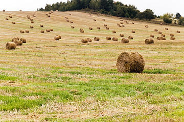 Image showing stack of straw in the field  