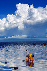 Image showing Asian boys collecting shellfish