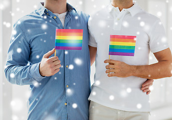 Image showing close up of male gay couple holding rainbow flags