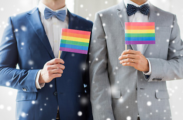 Image showing close up of male gay couple holding rainbow flags