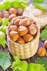 Image showing hazelnuts